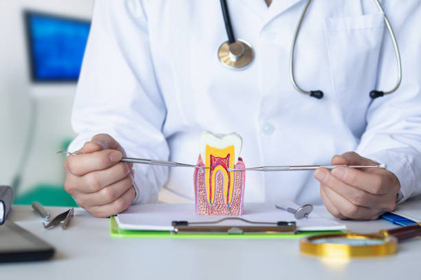 Best Emergency Dental Extractions in Shadyside, OH